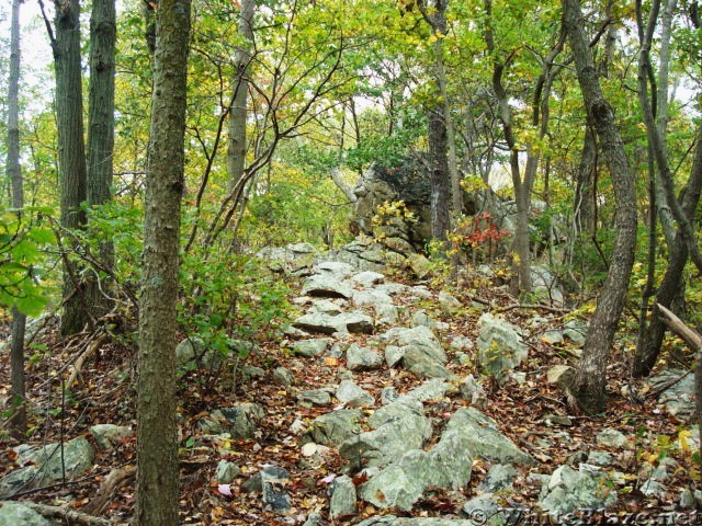 A.T. Junction With White Rocks Trail, PA, 10/06/12