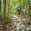 A.T. Junction With White Rocks Trail, PA, 10/06/12