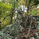 A.T. Junction With White Rocks Trail, PA, 10/06/12 by Irish Eddy in Views in Maryland & Pennsylvania