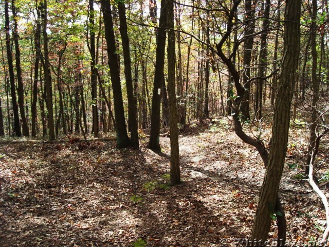 A.T. Junction With White Rocks Trail, PA, 10/06/12