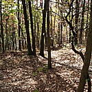 A.T. Junction With White Rocks Trail, PA, 10/06/12 by Irish Eddy in Views in Maryland & Pennsylvania