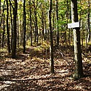 A.T. Junction With White Rocks Trail, PA, 10/06/12 by Irish Eddy in Views in Maryland & Pennsylvania