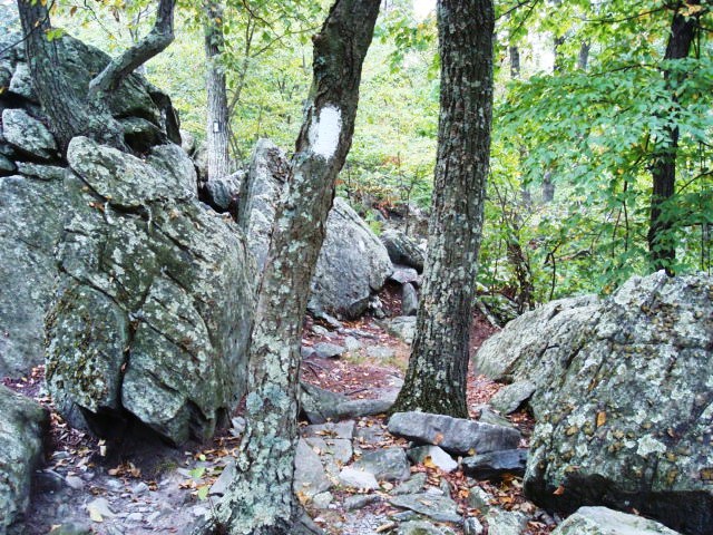 A.T. Descent From Rocky Ridge, PA, 09/02/12