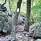 A.T. Descent From Rocky Ridge, PA, 09/02/12