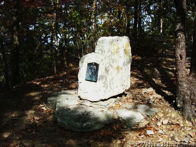 A.T. At Summit Of Center Point Knob, PA, 10/06/12