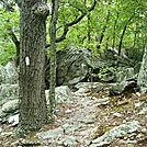 A.T. Descent From Rocky Ridge by Irish Eddy in Views in Maryland & Pennsylvania