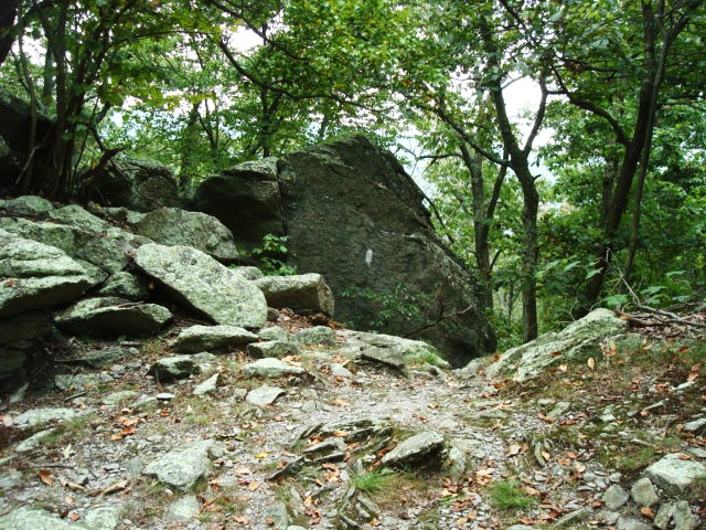 A.T. Descent From Rocky Ridge, PA, 09/02/12