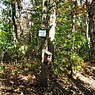 A.T. At Summit Of Center Point Knob, PA, 10/06/12 by Irish Eddy in Views in Maryland & Pennsylvania