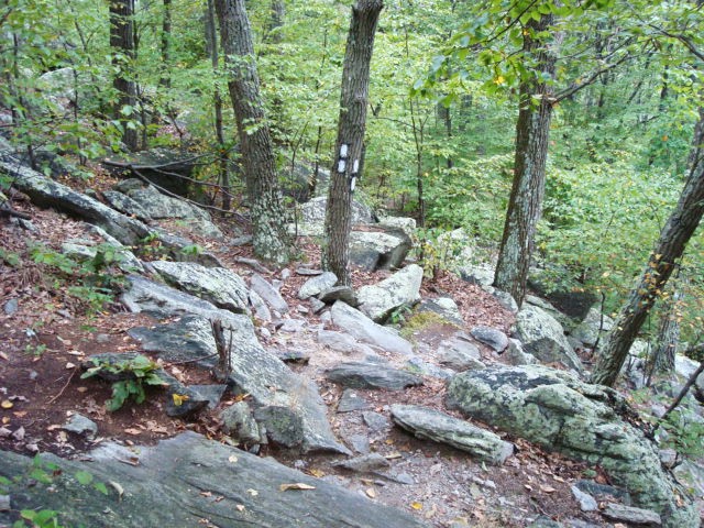 A.T. Descent From Rocky Ridge, PA, 09/02/12