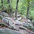 A.T. Descent From Rocky Ridge, PA, 09/02/12 by Irish Eddy in Views in Maryland & Pennsylvania