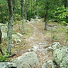 A.T. Descent From Rocky Ridge, PA, 09/02/12