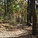 A.T. At Summit Of Center Point Knob, PA, 10/16/12 by Irish Eddy in Views in Maryland & Pennsylvania