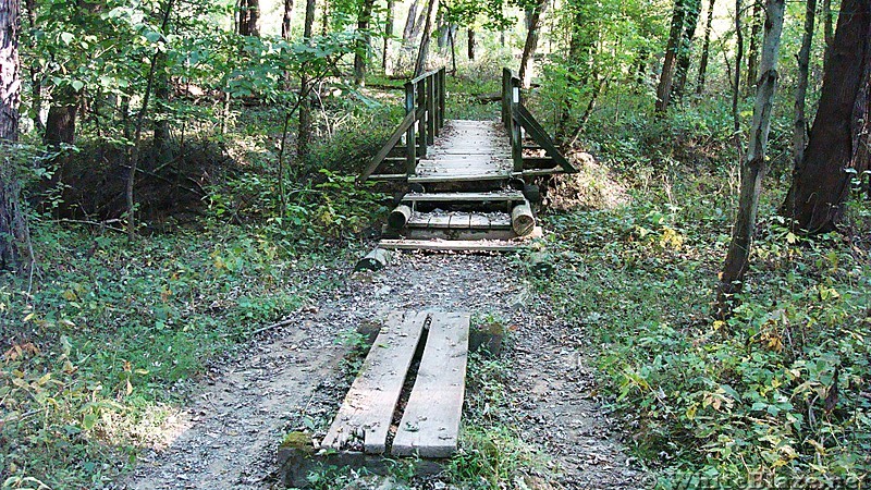 A.T. North of Conodoguinet Creek, Cumberland Valley, PA, 09/27/13