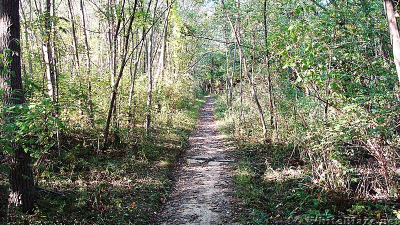 A.T. North of Conodoguinet Creek Crossing, Cumberland Valley, PA, 09/27/13