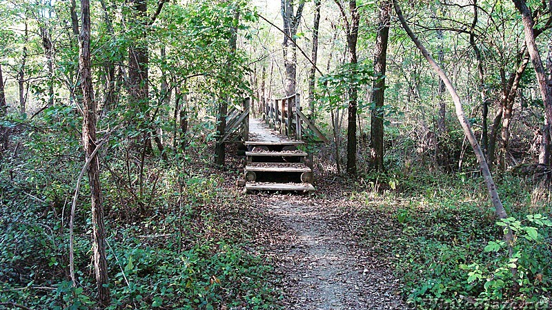 A.T. North of Conodoguinet Creek, Cumberland Valley, PA, 09/27/13