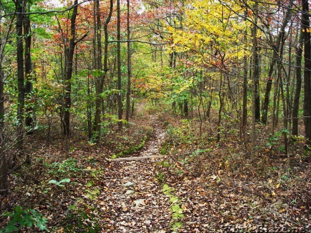 A.T. North Of Center Point Knob, PA, 10/06/12