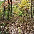 A.T. North Of Center Point Knob, PA, 10/06/12