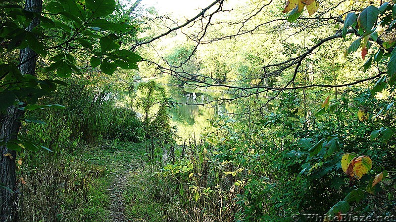 A.T. North of Conodoguinet Creek, Cumberland Valley, PA, 09/27/13