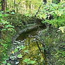 A.T. North of Conodoguinet Creek Crossing, Cumberland Valley, PA, 09/27/13