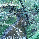 A.T. North of Conodoguinet Creek, Cumberland Valley, PA, 09/27/13