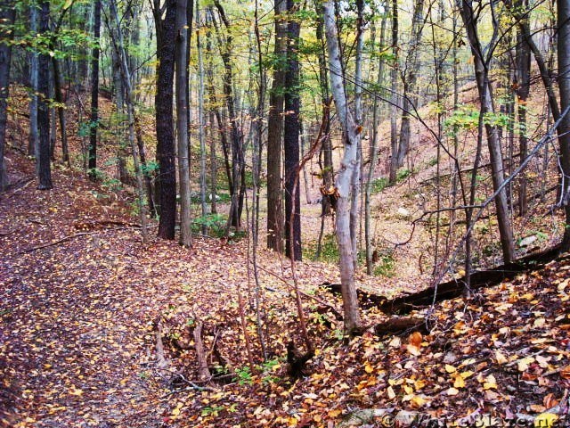 Open Pit Iron Ore Mine Near Boiling Springs, PA, 10/06/12