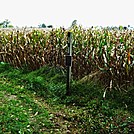 A.T. North Of Center Point Knob, PA, 10/06/12 by Irish Eddy in Views in Maryland & Pennsylvania