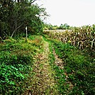 A.T. On Farm Land Near Boiling Springs, PA, 10/06/12