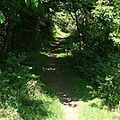 A.T. North of East First Street, PA Rte 174, Boiling Springs, PA, 06/14/13