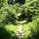 A.T. North of East First Street, PA Rte. 174, Boiling Springs, PA, 06/14/13 by Irish Eddy in Views in Maryland & Pennsylvania