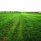 A.T. On Farm Land Near Boiling Springs, PA, 10/06/12 by Irish Eddy in Views in Maryland & Pennsylvania