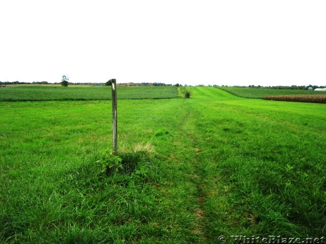 A.T. On Farm Land Near Boiling Springs, PA, 10/06/12