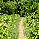 A.T. North of PA Rte 174, Boiling Springs, PA, 06/14/13