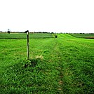 A.T. On Farm Land Near Boiling Springs, PA, 10/06/12 by Irish Eddy in Views in Maryland & Pennsylvania