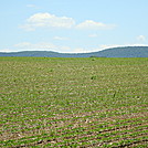 A.T. North of East First Street, PA Rte. 174, Boiling Springs, PA, 06/14/13