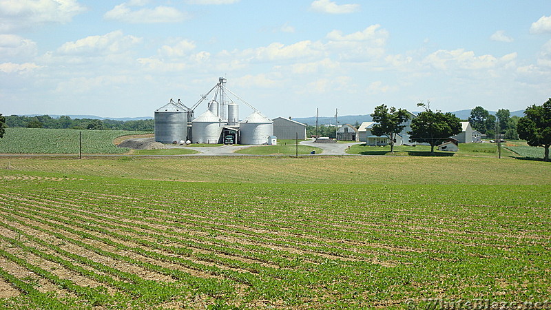 A.T. North of East First Street, PA Rte. 174, Boiling Springs, PA, 06/14/13