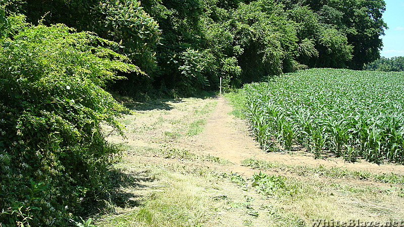 A.T. North of East First Street, Boiling Springs, PA, 06/14/13