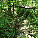 A.T. North of East First Street, Boiling Springs, PA, 06/14/13