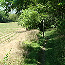 A.T. North of East First Street, PA Rte. 174, Boiling Springs, PA, 06/14/13