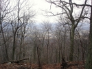 Near David Lesser Memorial Shelter, Wv, 12/20/08