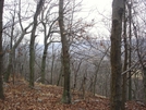 Near David Lesser Memorial Shelter, Wv, 12/20/08