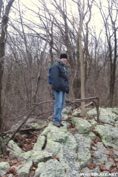 Near The David Lesser Memorial Shelter, Wv, 12/20/08