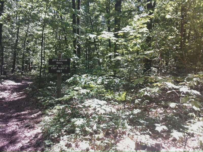 A.t. Intersection With Snowy Mountain Fire Tower Trail, Pa, 05/30/10