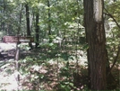 A.T. Intersection With Snowy Mountain Fire Tower Trail, PA, 05/30/10 by Irish Eddy in Views in Maryland & Pennsylvania