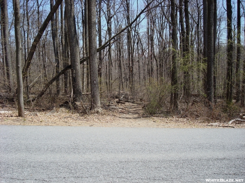 Zittlestown Road Crossing, Md, 04/18/09