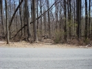 Zittlestown Road Crossing, Md, 04/18/09 by Irish Eddy in Views in Maryland & Pennsylvania