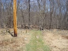 Power Line Crossing North Of Washington Monument S.p., Md, 04/18/09 by Irish Eddy in Views in Maryland & Pennsylvania