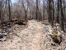 On The A.t. Near Boonsboro Mountain Road, Md, 04/18/09