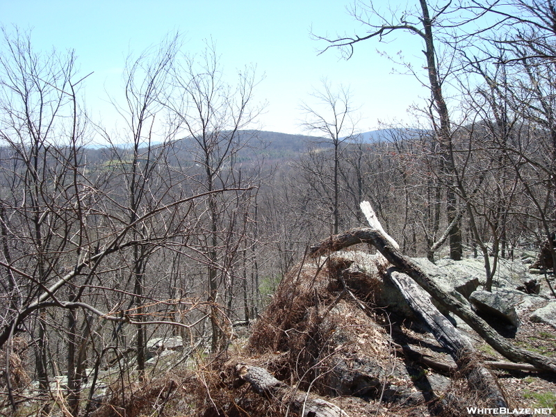 On The A.t. Near Boonsboro Mountain Road, Md, 04/18/09