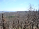 On The A.t. Near Boonsboro Mountain Road, Md, 04./18/09 by Irish Eddy in Views in Maryland & Pennsylvania