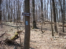 Greenbrier State Park, Md, 04/18/09